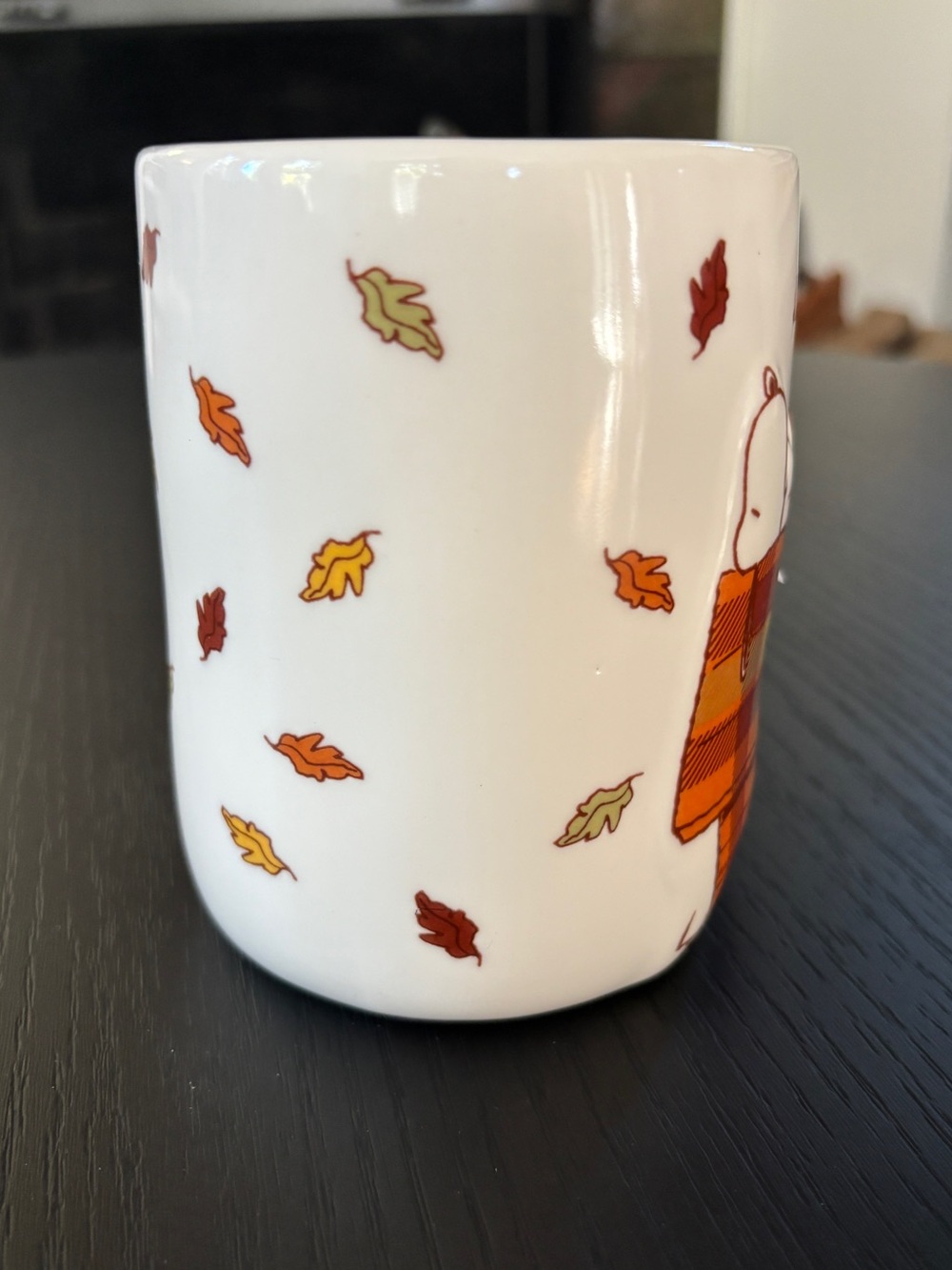 Peanuts x Rae Dunn Snoopy Plaid Autumn Mug Fall is in the Air - Picture 8 of 12